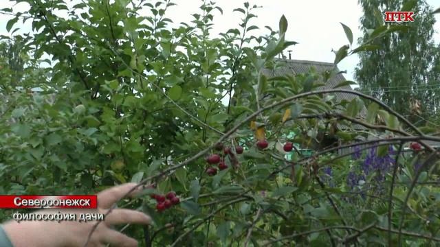 ПТК-Североонежск от 9 сентября