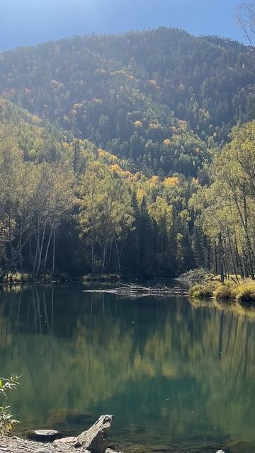 Если приложить динамик к уху, то можно услышать крик косули🦌)📍Река Киленская.