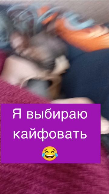 Кайфую