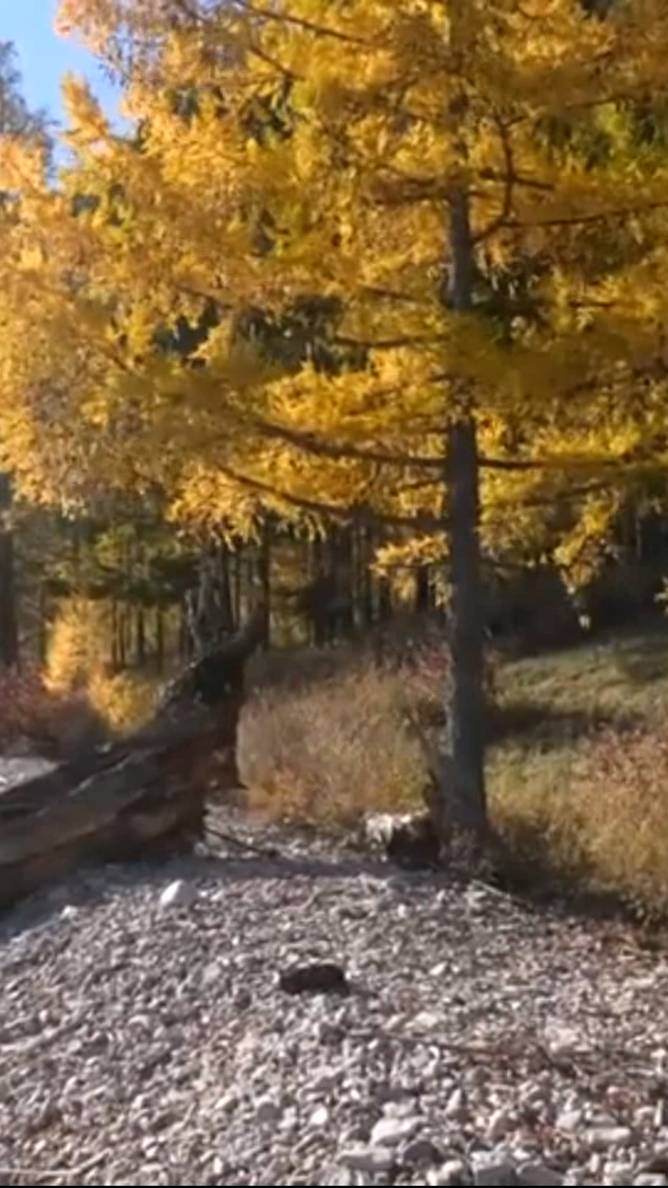 Наряжалась Осень на Байкале
