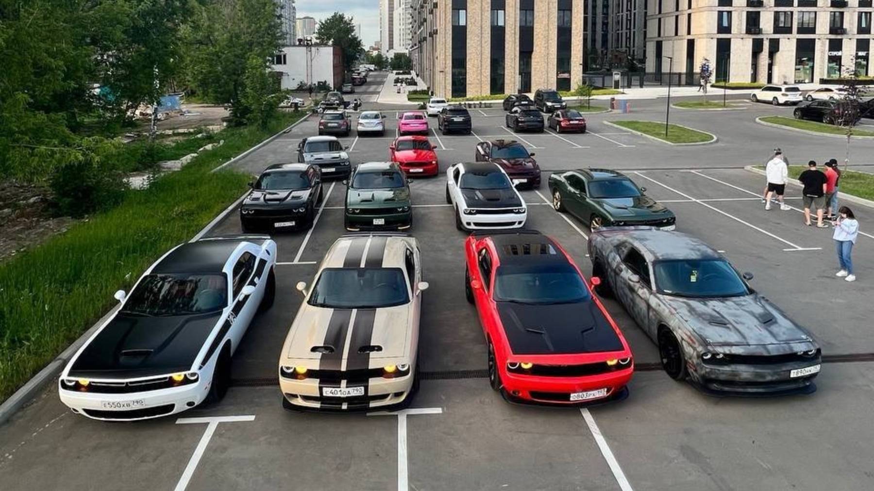 Muscle Cars Family