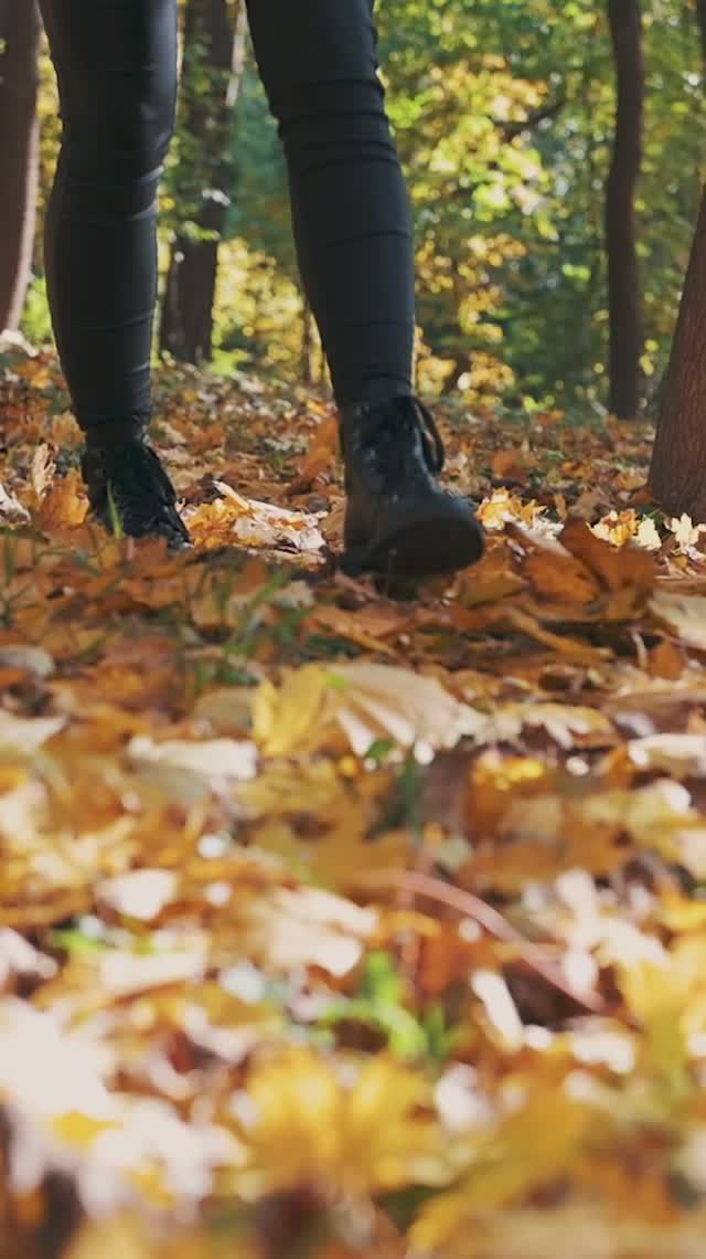 В золотом лесу