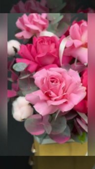 Сладкая вишня