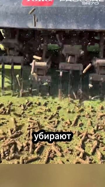 Как ухаживают за элитными полями для гольфа