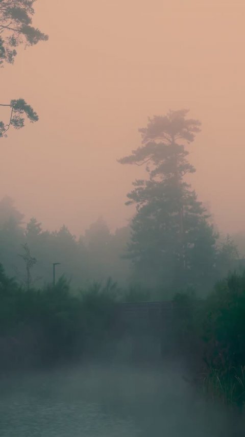 Туманное утро