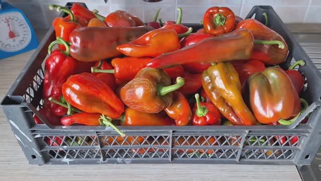 Мариную сладкий перец на зиму. Очень простой и вкусный рецепт.