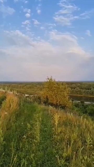 В поле Рожь