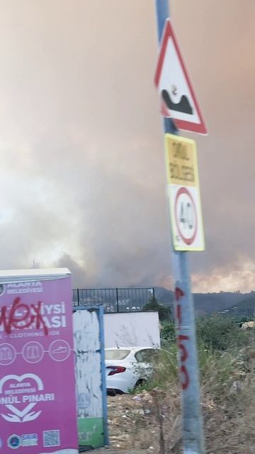 Турция в огне, загорелись леса в Демирташе.
