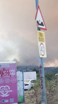 Турция в огне, загорелись леса в Демирташе.