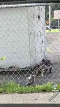 Многодетная мать