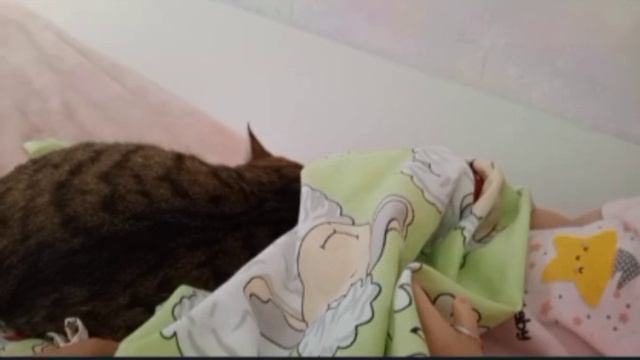 VLOG / НАШИ БУДНИ С РЕБОРНОМ Алиной