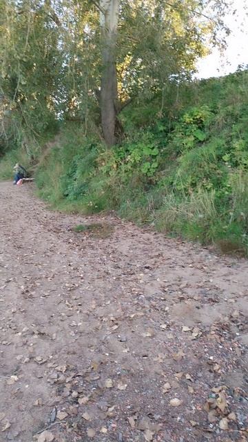 Берег Невы, 7 сентября 2025.