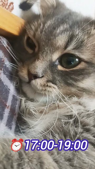 50 оттенков серого😉Fifty Shades of Grey