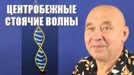 Центробежные стоячие волны
