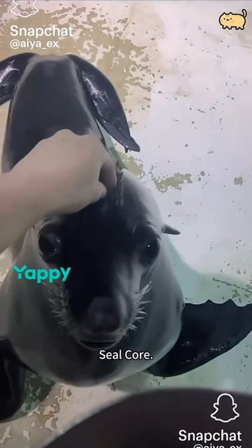 милахи 😍
