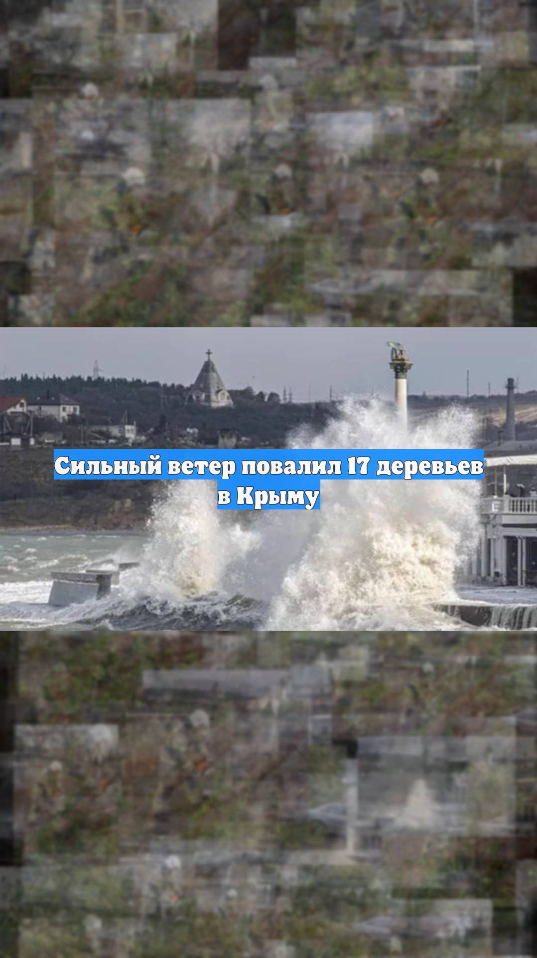 Сильный ветер повалил 17 деревьев в Крыму