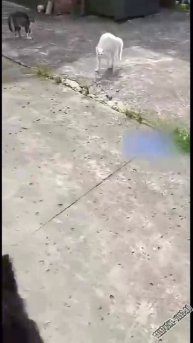 Главные на районе