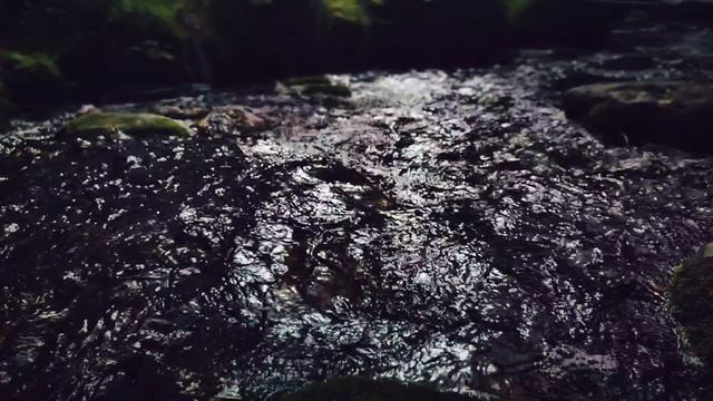 Переправа через реку и битва EMO Crossrc X5 RC 4x4