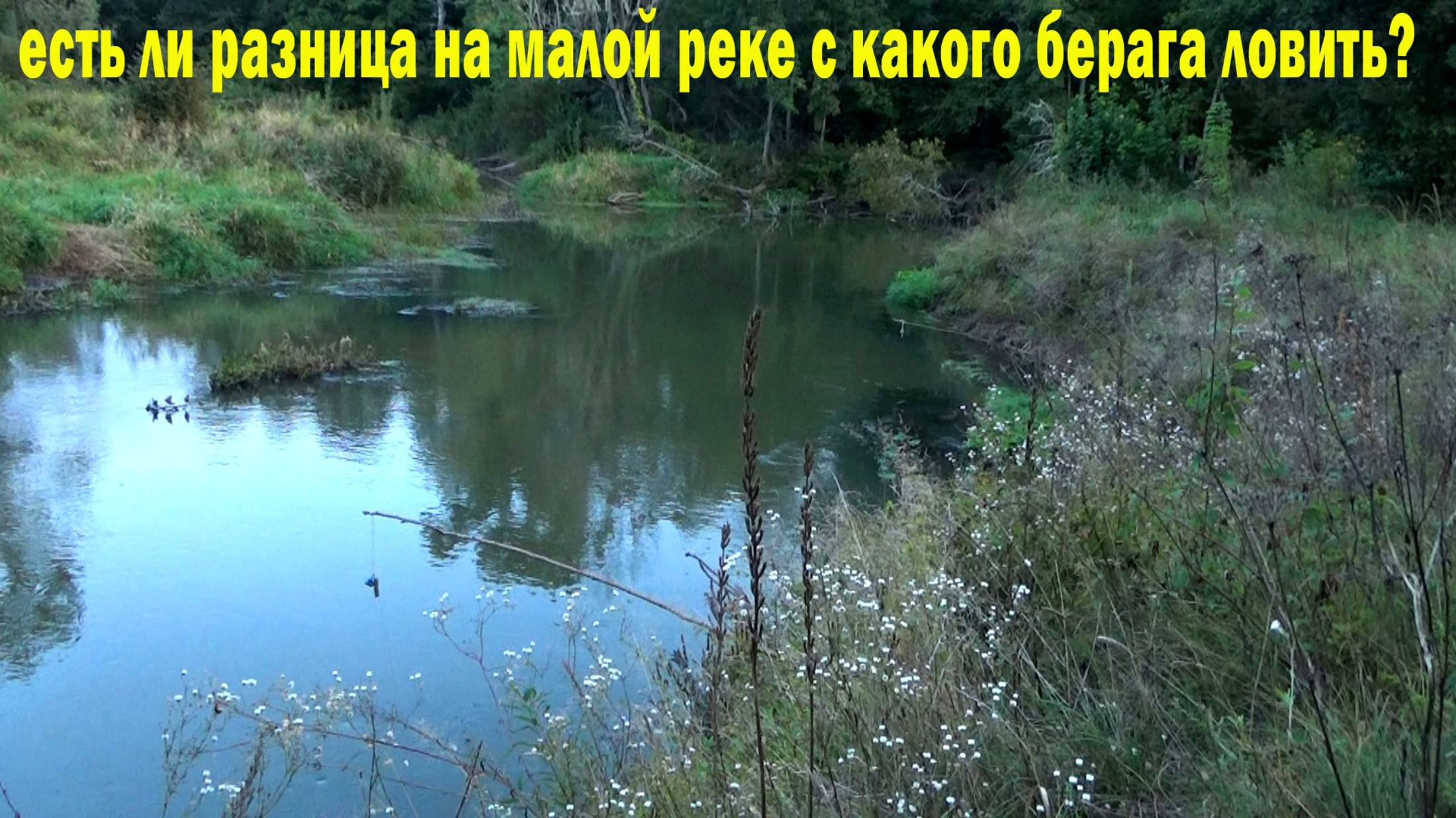 Рыбалка на дубины-жерлицы на малой реке - какой берег уловистее? этот или противоположный?