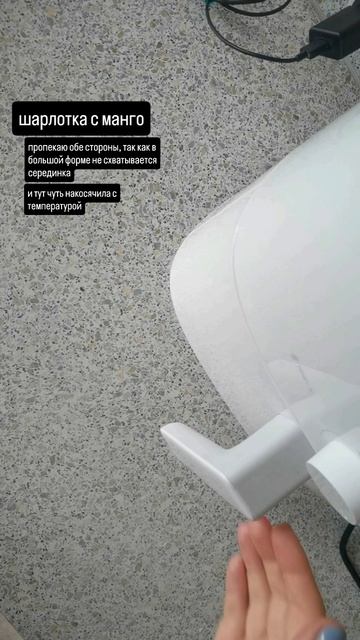 Шарлотка с МАНГО в аэрогриле