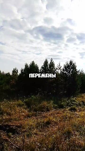 Перемены пугают.mp4