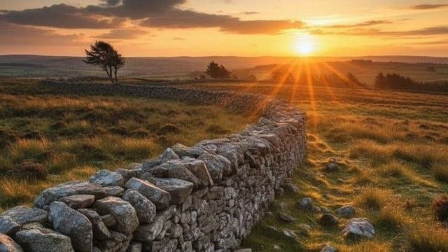 Behind The Wall