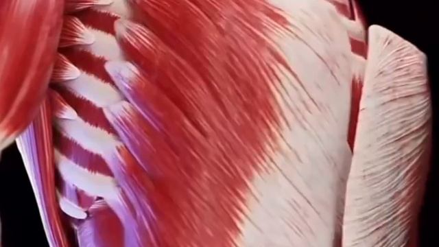 Эмоции в теле и психомоматика.mp4