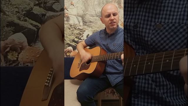 гр. Шанхай - Свадьба кавер под гитару