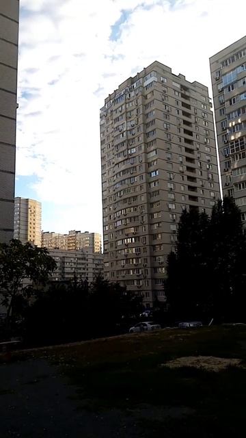 Каменные джунгли