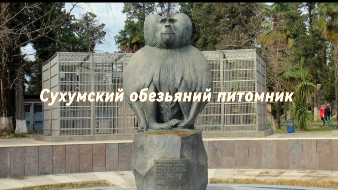 Абхазия | Сухумский обезьяний питомник