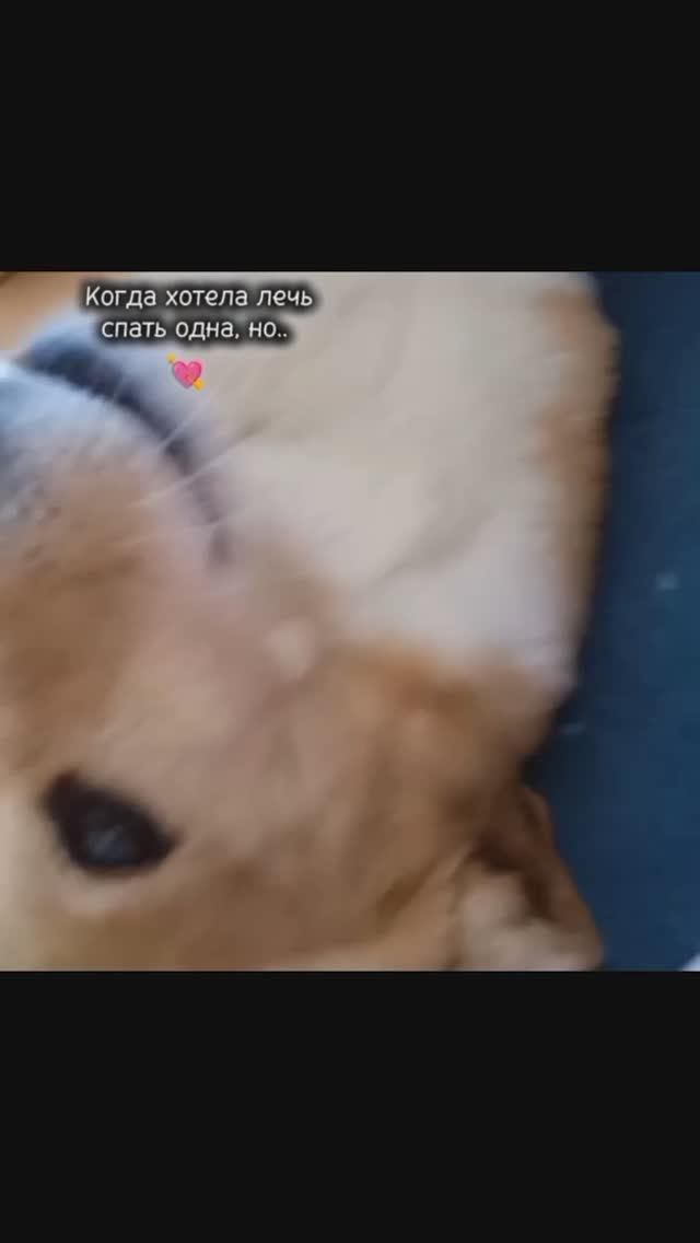 Всегда со мной💘