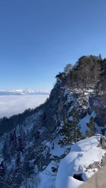 Кто согласен ? 🤍