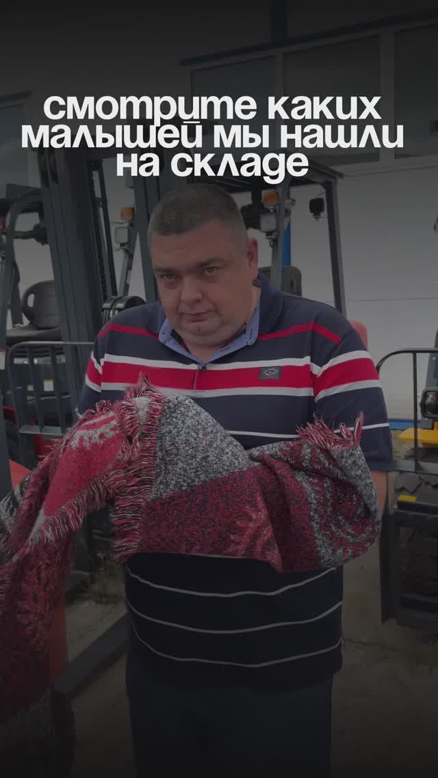Заходи за котятками-погрузчиками на Https://rumsb.ru