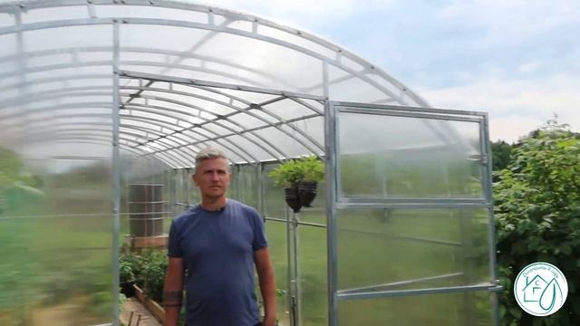 Летний коллаж. (июнь 2022 г.)