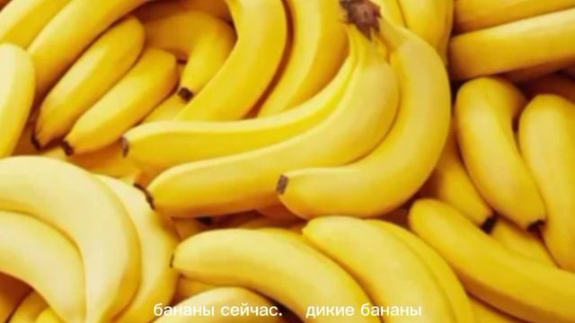 бананы сегодны