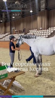 Турнирная работа - наша стихия!