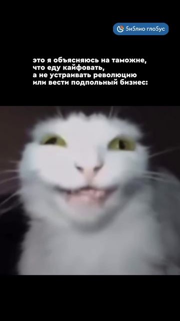 Это я объясняюсь на таможне, что еду кайфовать, а не устраивать революцию #shorts