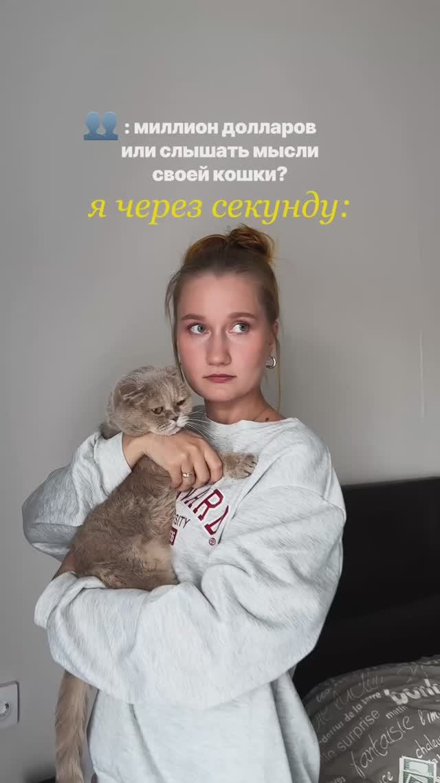 А что бы выбрал ты?