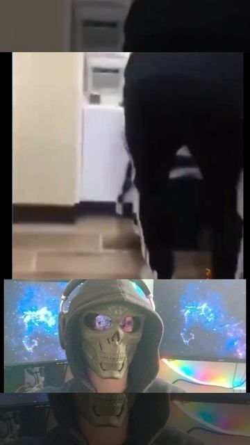 Игривый кот