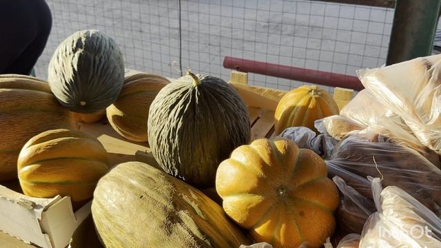 Рыбалка на Волге. Ахтуба. Веселые соседи и концерт на весь кемпинг.
