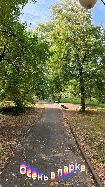 Осень в парке