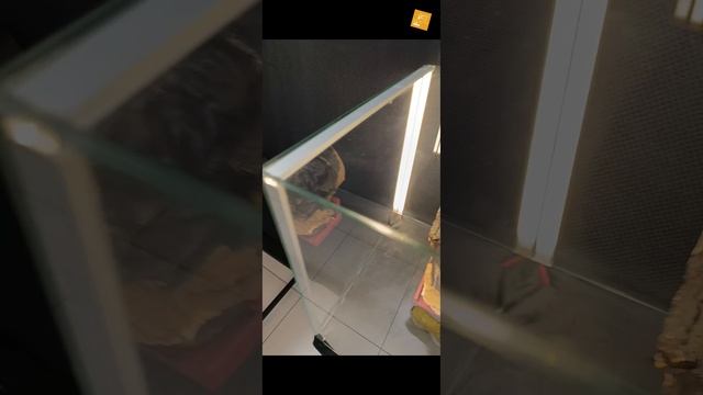 Видеообзор Иркутского областного краеведческого музея. Экспозиционный отдел 