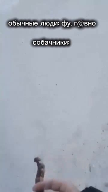 жиза