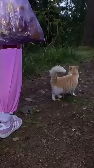 3 эпизод спасения котика ;)