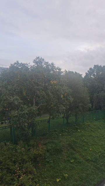 сегодня утром на Камчатке