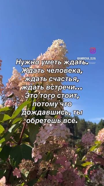 Цитаты о жизни