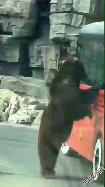 Опоздали на автобус