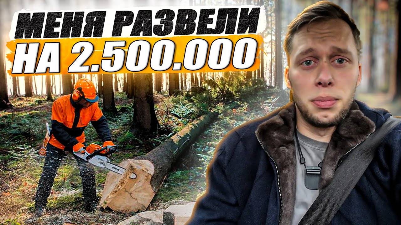 US Сколько стоит расчистка участка от деревьев? / KRUssia / Такси / Недвижимость/ Стройка/ Техник !