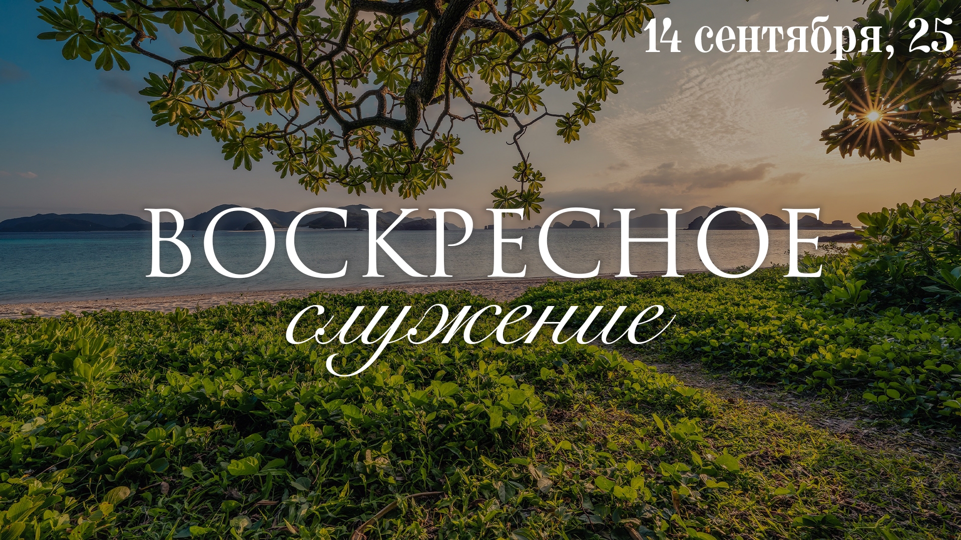 14 СЕНТЯБРЯ 2025 | Попов Н.В.