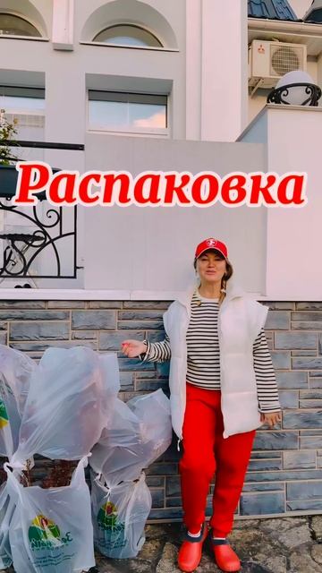 BF55366D-A734-4B39-9B2F-4F7AFFACEAFF